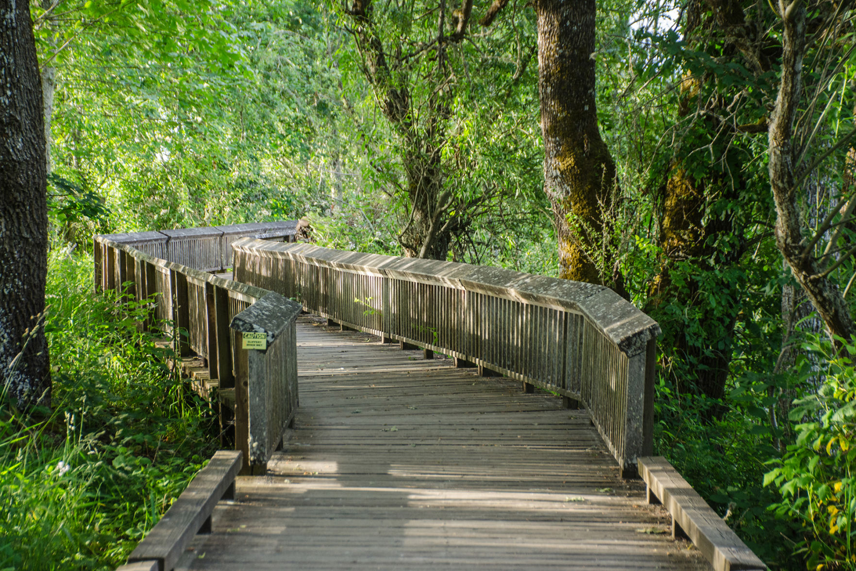 190704.outdoors.hikingcolumn.er3.jpg
